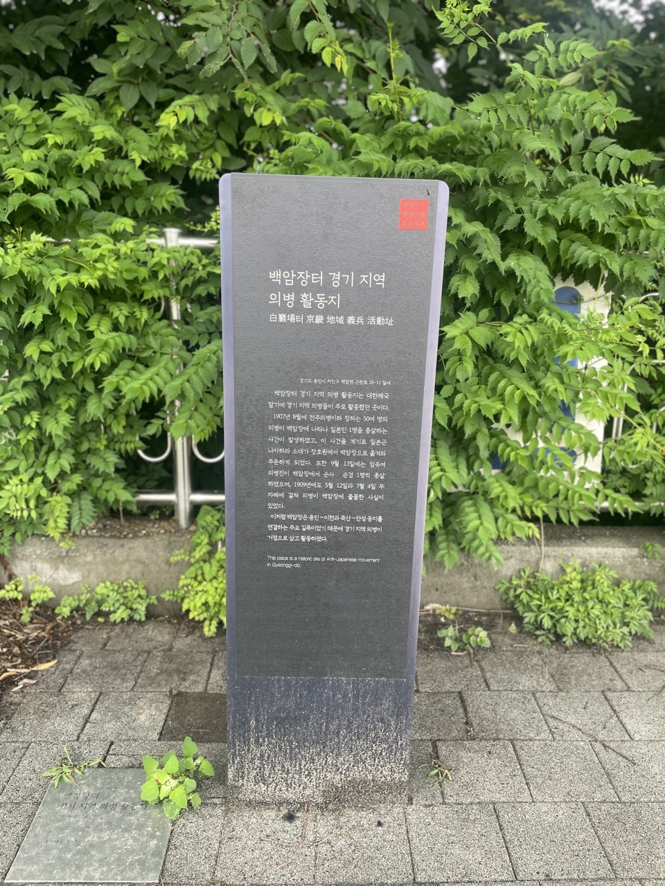 321574181ada7072099324053c909ab0_1750136295_5706.jpg